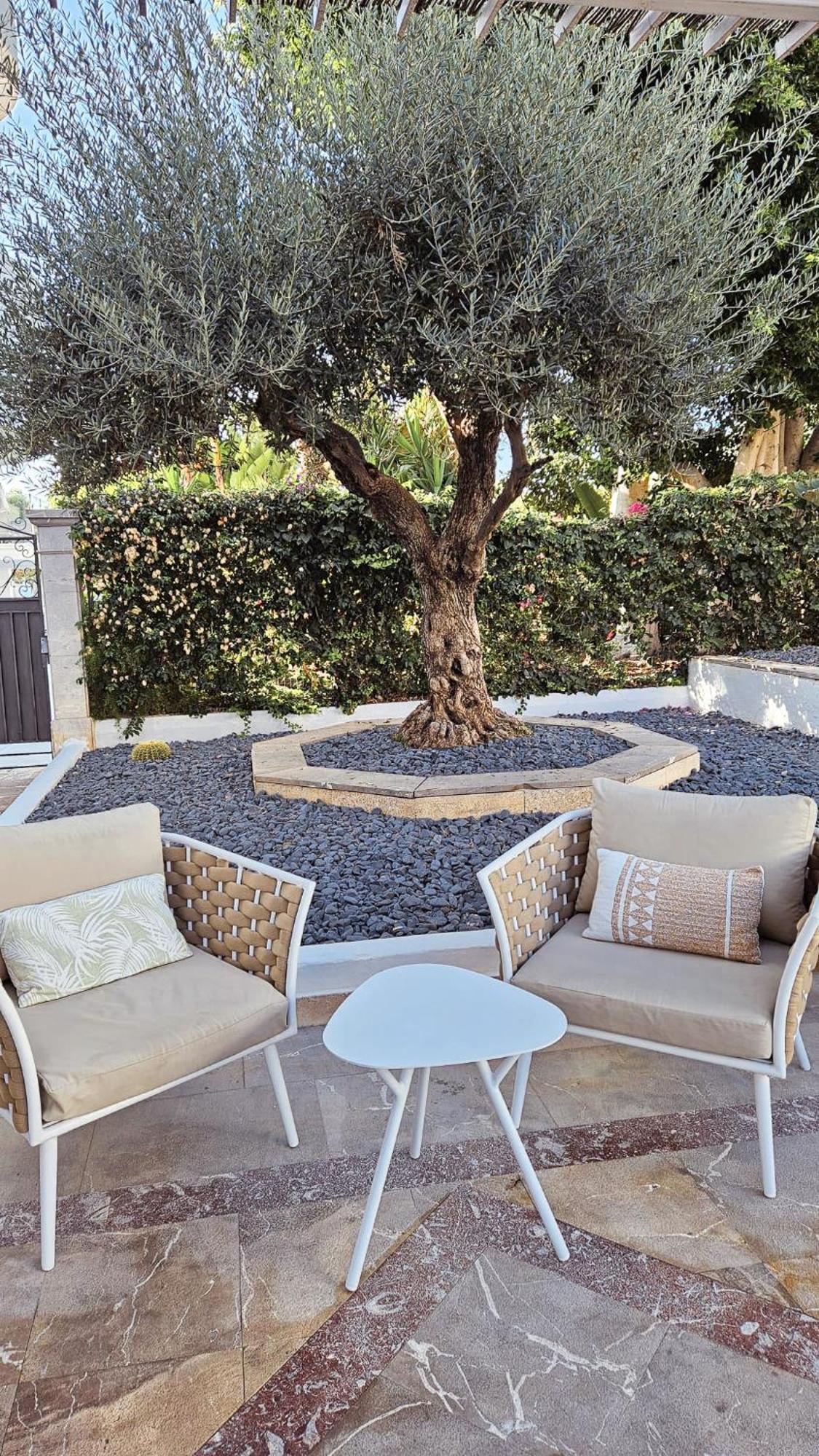 Sentido Fido Tucan - Adults Only Cala D´Or Εξωτερικό φωτογραφία